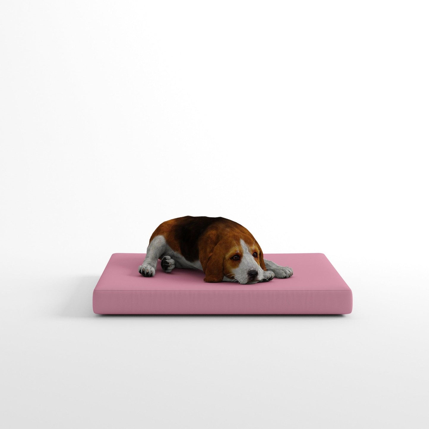 Cuscino per cani da interno