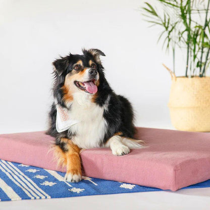 Letto per cani