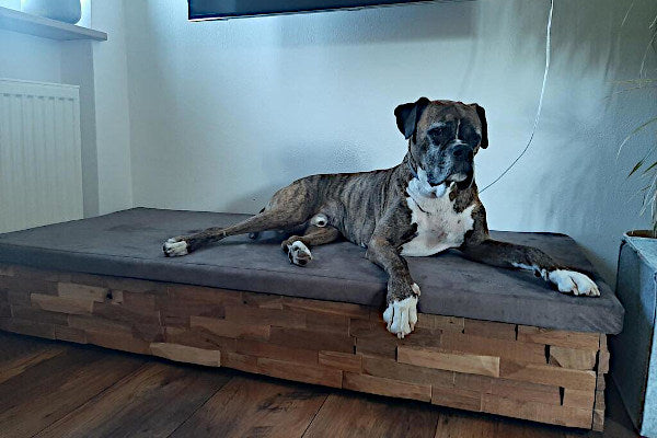 Tappetino per cani